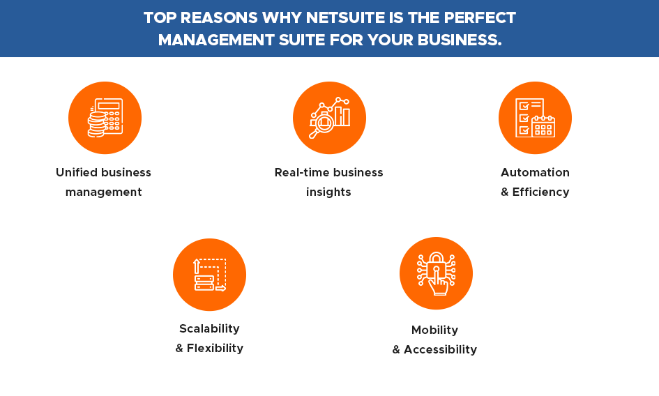 why netSuite recovery solutions are crucial for businesses in dubai