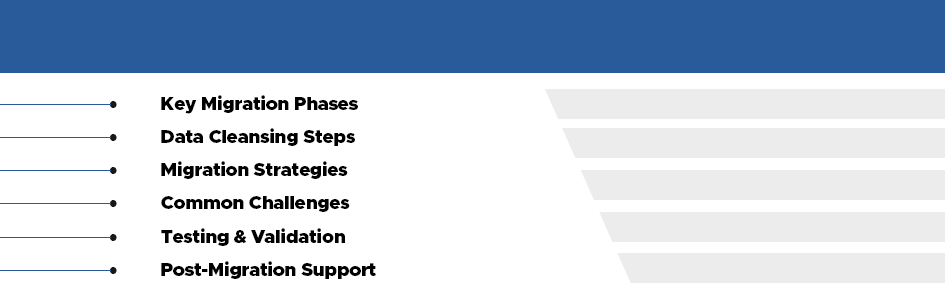 erp data migration