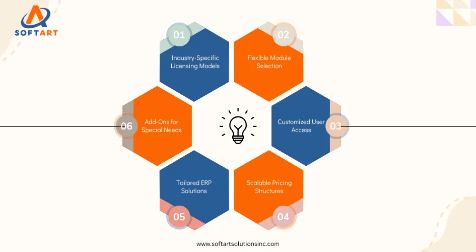 netsuite solution provider partner