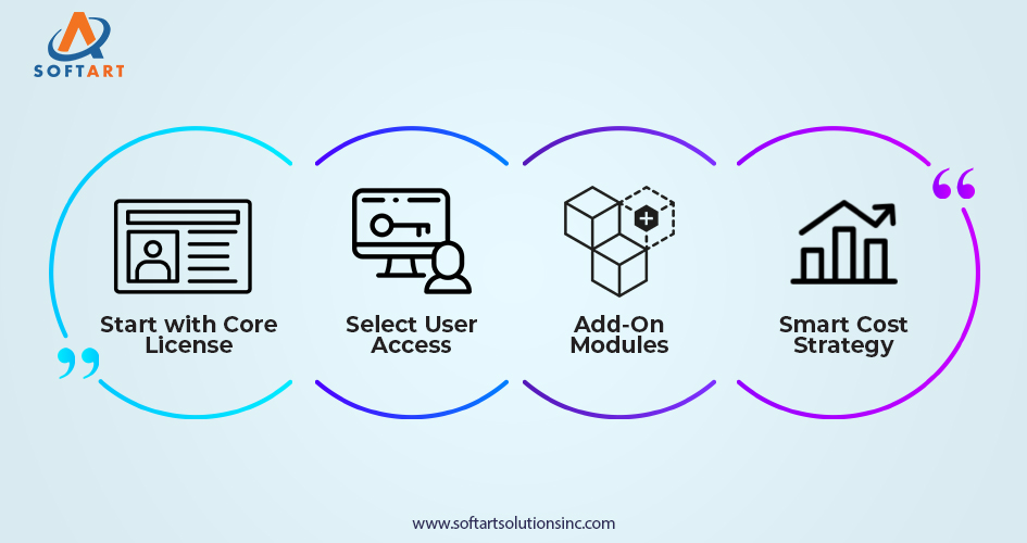 netsuite user licensing costs