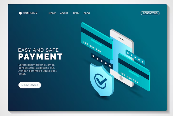 payment options for netsuite
