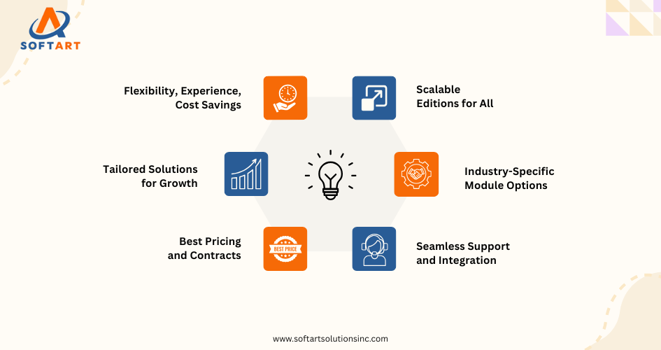 working with a netsuite solution provider